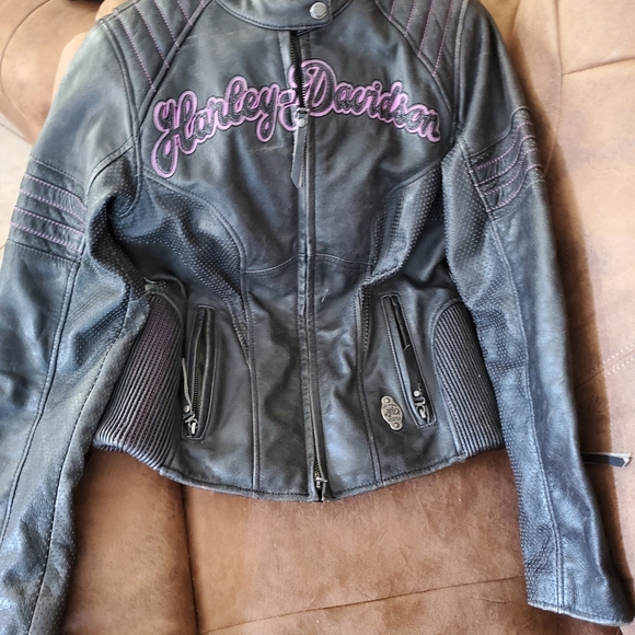 Harley davidson leather jacket and chaps all brand - Picture 1 of 8